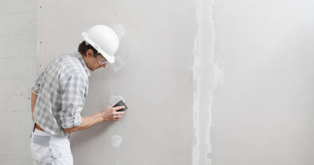 Best Drywall Installation  in Lakewood Clu, MI