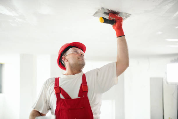 Best Drywall Sanding and Smoothing  in Lakewood Clu, MI